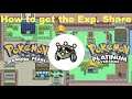 How to get the Exp. Share in Pokemon Platinum