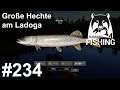 Große Hechte und geile Drills am Ladoga  🎣🐋 | Russian Fishing 4 #234 | Deutsch | UwF