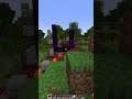 Minecraft, But Every Block is Random