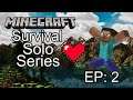 Minecraft solo survival | EP: 2 | Learning About Beeeees