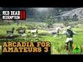 Red Dead Redemption 2 - Arcadia for Amateurs 3