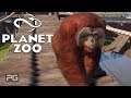 Planet Zoo - Lets Play - Ep2 The Ape-renticeship - Career Mode
