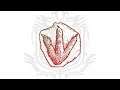 【莎皮Shapy Live】魔物獵人系列-MHW|PC-邊撿邊聊#242-魔物的腳味!