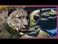 Snow Leopard Mountain Habitat | Planet Zoo Speed Build