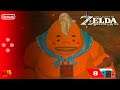 The Legend of Zelda: Breath of the Wild | Parte 8 | Walkthrough gameplay Español - Nintendo Switch