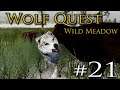 AMBUSHED by a Rival Wolf Pack?! 🐺 WOLF QUEST: WILD MEADOW • #21