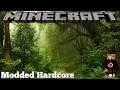 MINECRAFT HARDCORE BUT WITH MY MOB BATTLE SERIES PACK