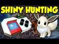 SHINY HUNTING DETAILS For Pokemon Brilliant Diamond and Shining Pearl!