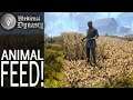 Animal Feed! | Medieval Dynasty Gameplay | EP 70