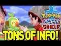 BEST HIGHLIGHTS and INFO from First 90 Minutes of Pokemon Sword and Shield Gameplay!