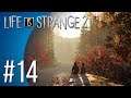 Life is Strange 2 #14