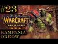 Warcraft 3 Reforged [#23] [Seria nostalgiczna] Okrzyk Wojennej Pieśni !