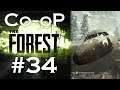 Co-oP The Forest #34. Gap of Snowhan