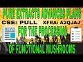 Pure Extracts Advances Plans for the Processing of Functional Mushroom Formulations