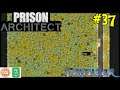 Let's Play Prison Architect #37: Rumble In The Jungle!