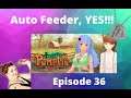 Pumpkin Days Auto Feeder (Chicken's) Episode 36