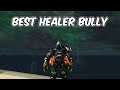 BEST HEALER BULLY - Subtlety Rogue PvP - WoW Shadowlands 9.0.2