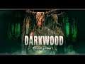 Darkwood | Стрим#1