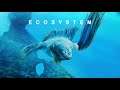 Ecosystem - Launch Trailer