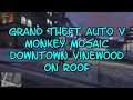 Grand Theft Auto V Monkey Mosaic 22 Downtown Vinewood on Roof