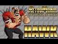 RetroMania Wrestling PC Playthrough - 10 Pounds of Gold with Hawk (1080p/60fps)