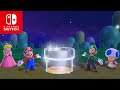 Super Mario 3D World (Switch) - 100% Walkthrough #1 (No Commentary) - World 1