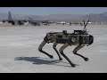Tyndall AFB 'Robot Dogs' Demonstration