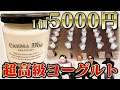 【利きヨーグルト】5000円の高級ヨーグルトはどれでしょう【MSSP /M.S.S Project】