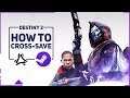 How To Transfer & Link Destiny 2 to Steam | Cross Save Guide Included