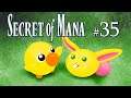 Let's Play Secret of Mana [blind] #35 ♣ Sie haben es gewagt