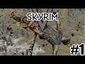 Skyrim V #1| Prank Gone Wrong