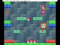 Super Mario Bros. 2 (SNES) - Boss 11: Fry Guy