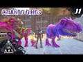 Criar Dinos Solo | ARK EXTINCTION [#11] | Servidor Oficial PVE