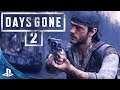 DAYS GONE 2 - It is Time Bend Studio's (PS5)