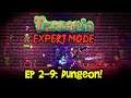 DUNGEON! Terraria EXPERT MODE Let's Play, Ep 2-9 (1.3 PC Gameplay)