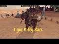 Kitty Kat Tomb Kings vs High Elves. Total War WARHAMMER 2 Multiplayer