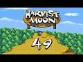 Let's Play - Harvest Moon #Part 49 - Der Stall muss voll!