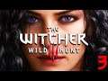 The Witcher 3 Movie 2020 - Part 3: Skellige & Kaer Morhen (Death March, Ultra Modded) [60fps, 1080p]