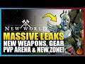 HUGE New World Leak!  New Weapons, Armor, PvP Arena, Dungeons + Brand New Gameplay of DESERT Zone!
