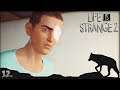 Life is Strange 2 - Hogyan tovább?  - 12.rész [4. EPIZÓD]