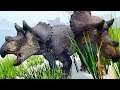 Massiva Família de Filhotes Triceratops + Migração! SACRIFÍCIO FINAL | The Isle Realismo | (PT/BR)