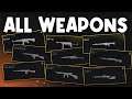 *NEW* ALL WEAPONS in COD VANGUARD! Best Guns to use Day 1