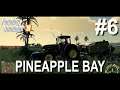 Pineapple Bay | Episode 6 | Farming Simulator 19
