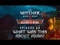The Witcher 3 BaW - Let's Play [Blind] - Episode 60