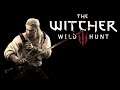 the witcher 3: wild hunt # немного кулачных боев