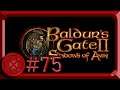 Wild Mage Camp - Baldur’s Gate II (Blind Let's Play) - #75