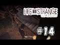 #14 LIFE IS STRANGE【初見プレイ】