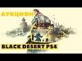 Black Desert Online PS4 ➤ АУКЦИОН ДЛЯ НОВИЧКОВ