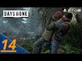 Days Gone full game no commentary ITA HD parte 14 sisgnorsi