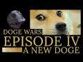 Doge Wars: Episode IV - A New Doge